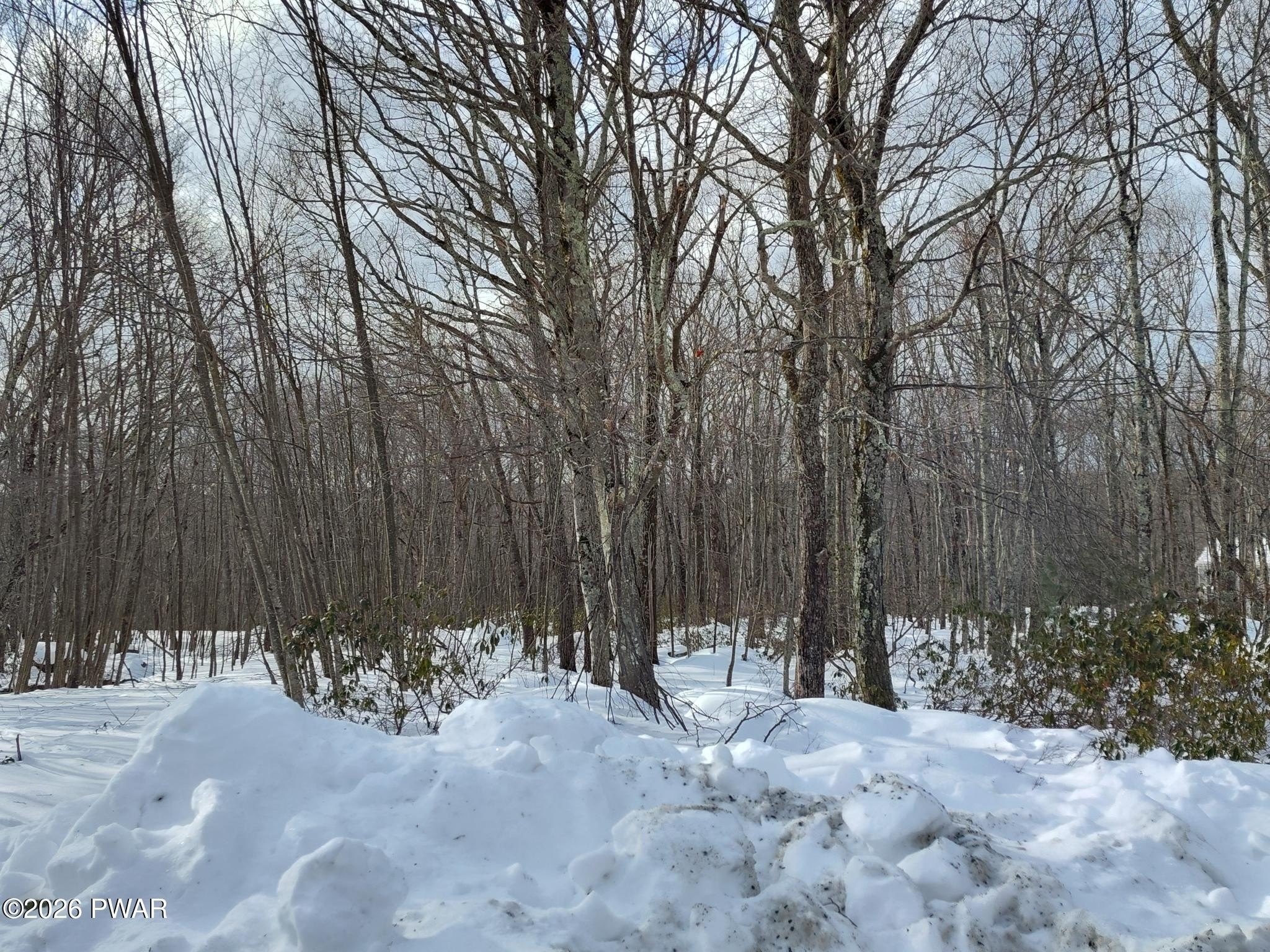 Residential Lot in Amenity Filled Community