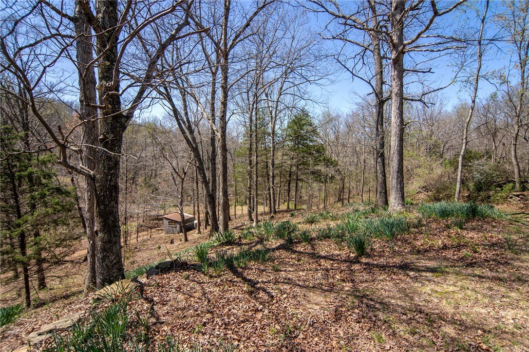 Huntsville Land with Creek Access