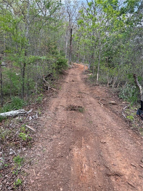 Picture 12