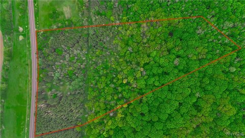 Land Near Ellicottville Village