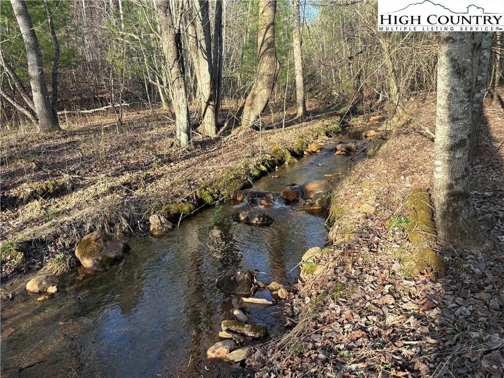 47.23 Acres in Laurel Springs
