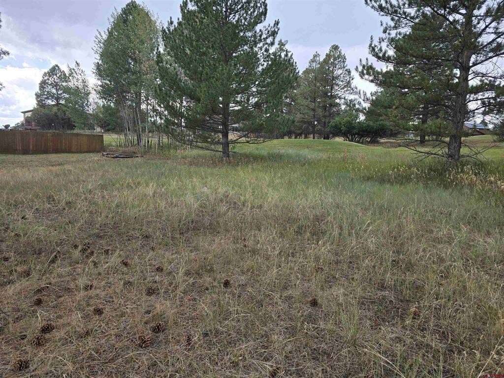 Picture 18