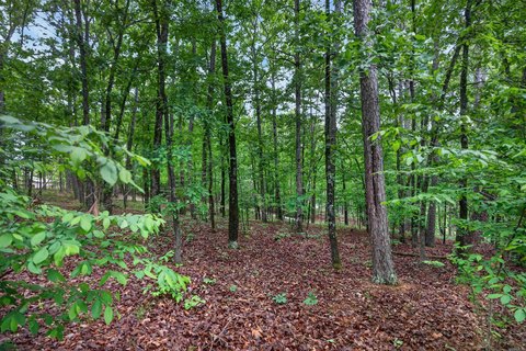 Golf Course Lot Opportunity
