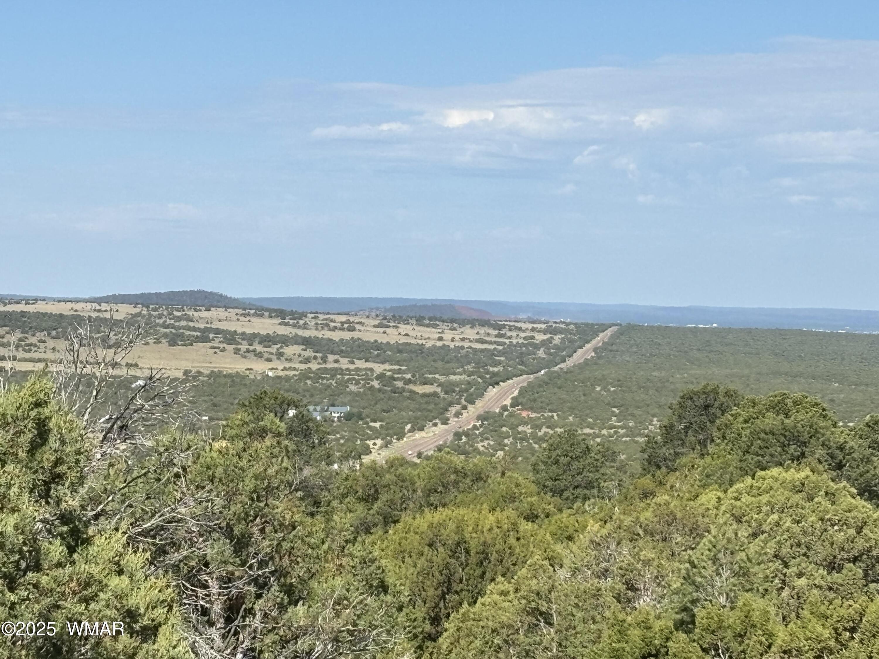 Land in Arizona's White Mountains