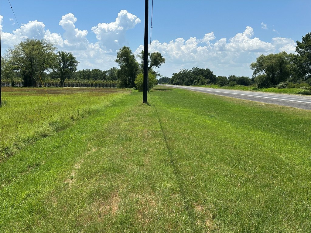 Picture 4