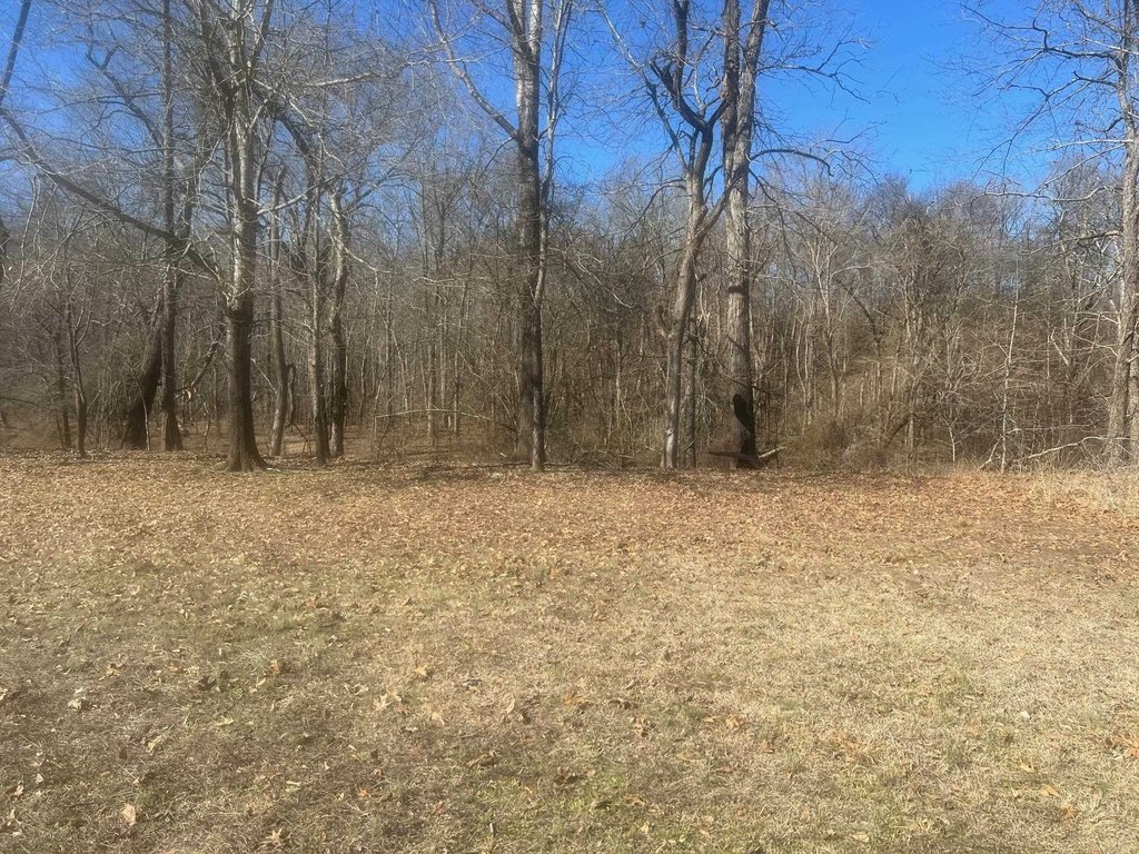 Picture 4