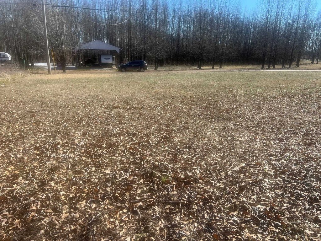 Picture 5