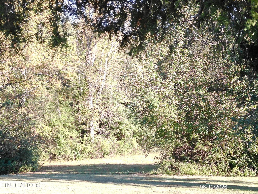 Picture 8