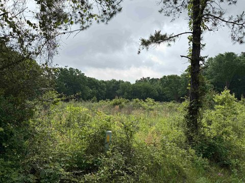 Acreage - Henderson, TX