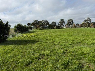 Picture 12