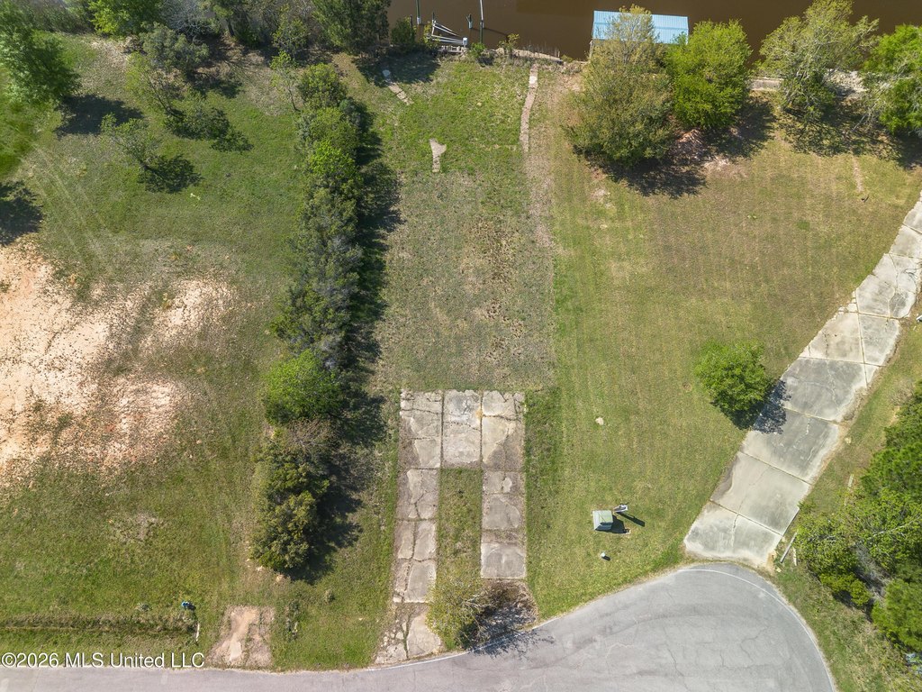 Picture 11