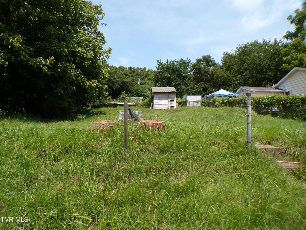 Picture 6