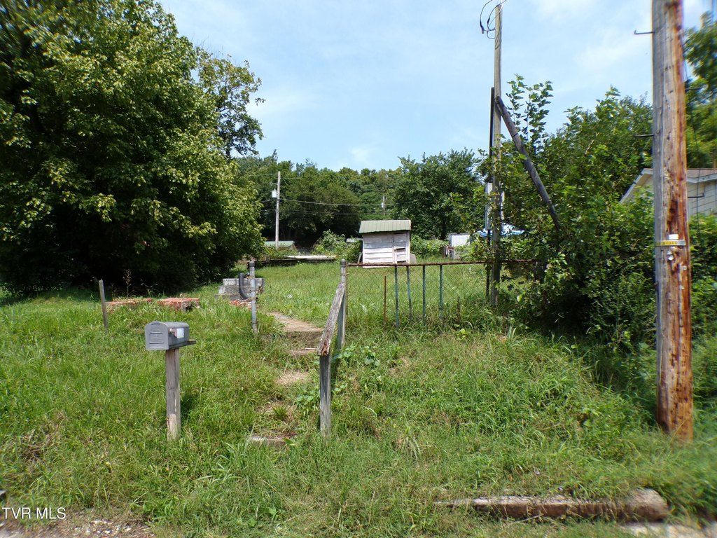 Picture 4