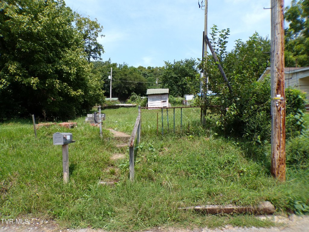 Picture 5