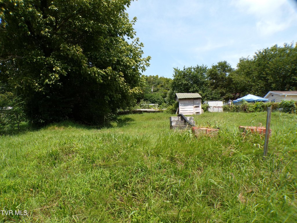 Picture 8
