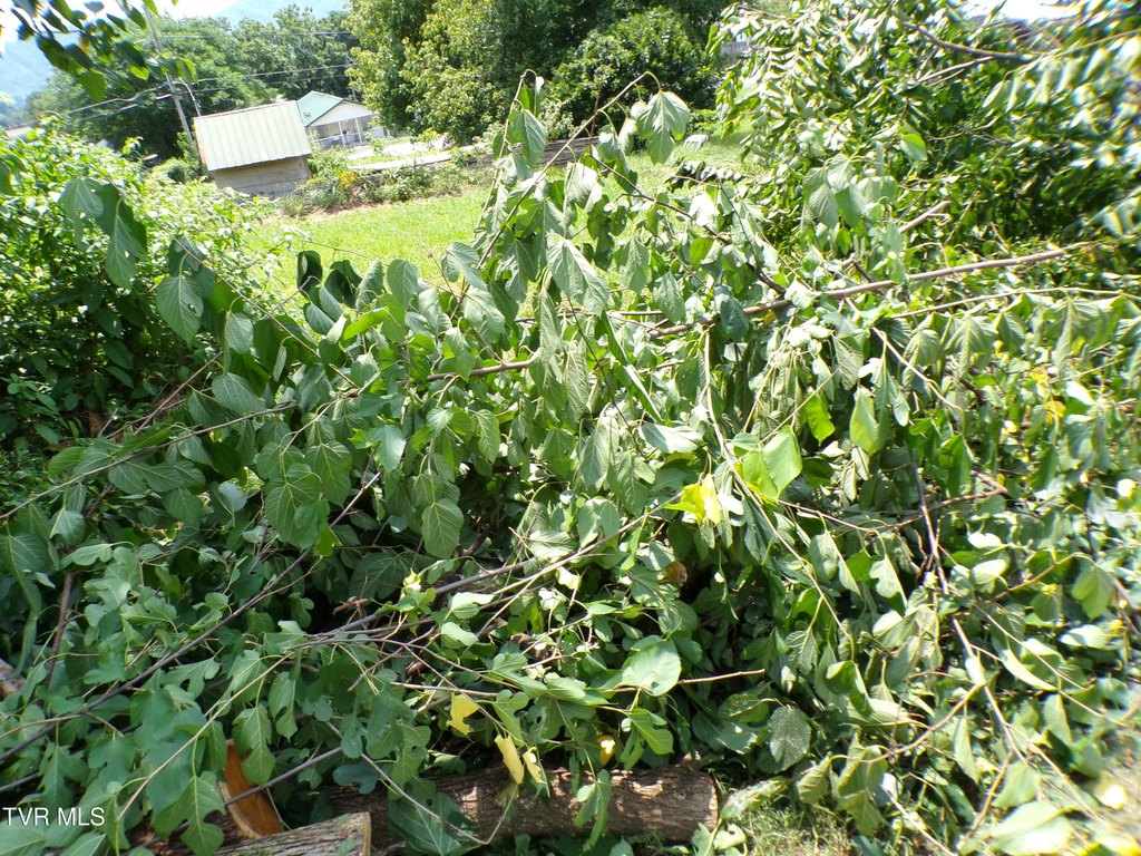 Picture 10