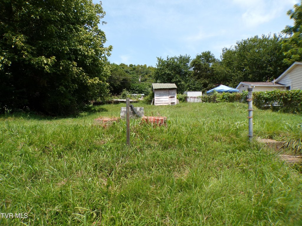 Picture 7