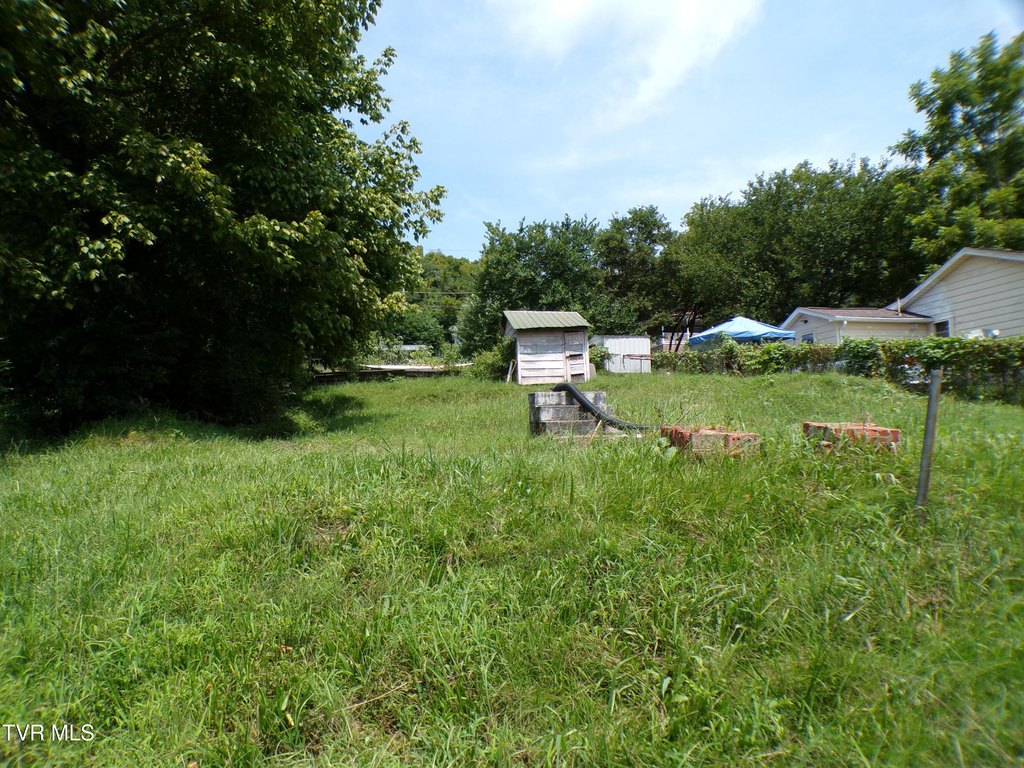 Picture 2