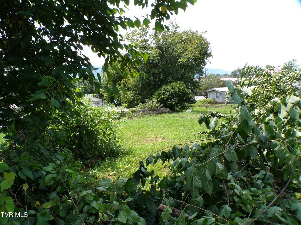 Picture 11