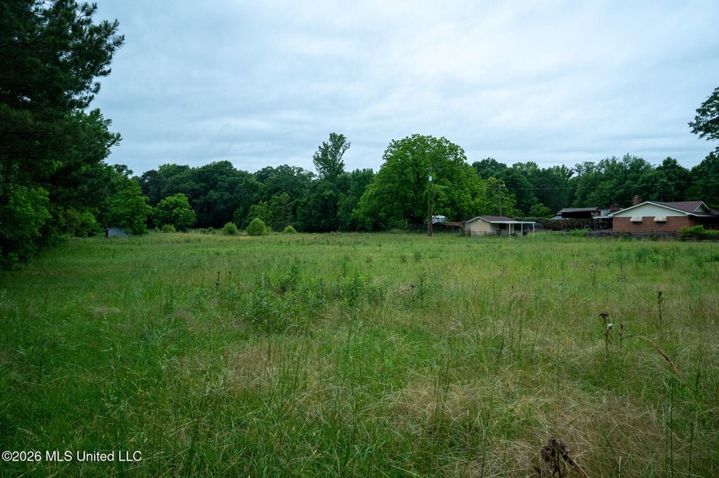Picture 13