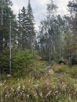 Riverfront Land in Avery Twp