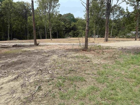 Undeveloped Acreage in Hot Springs