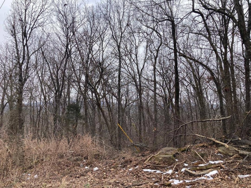 Picture 9