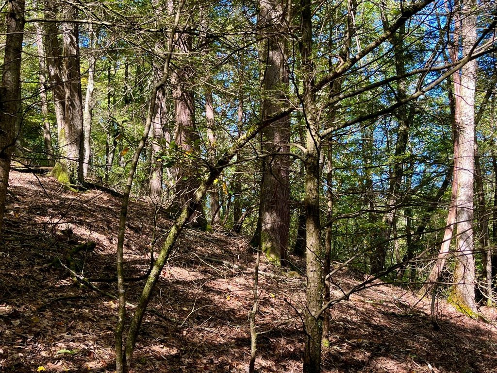 Picture 6