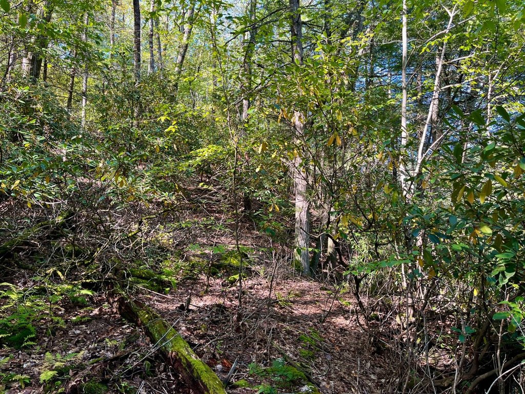 Picture 9