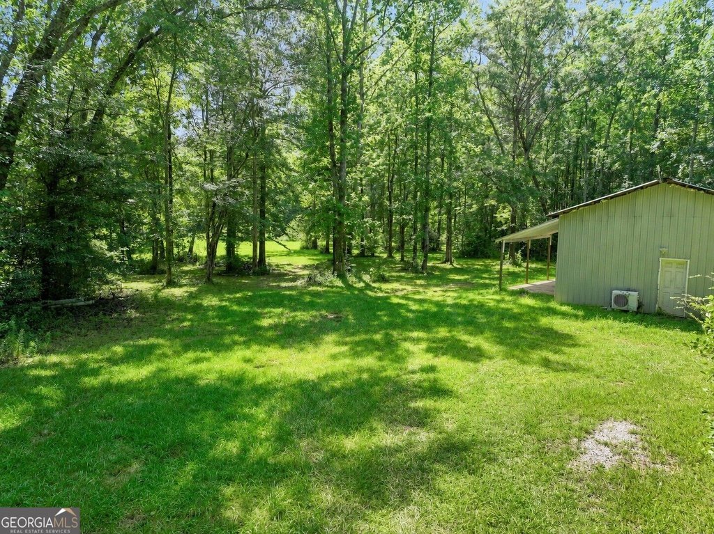 Picture 15