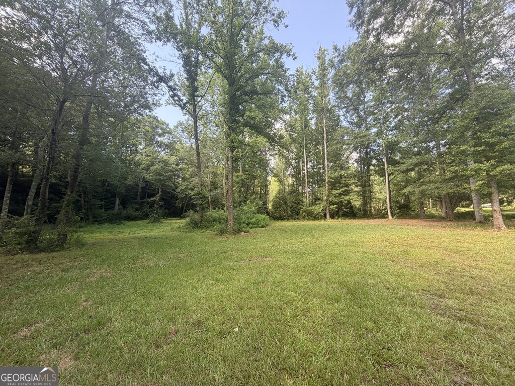 Picture 31