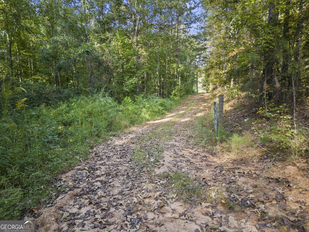 Picture 41