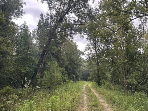 Land with River Access