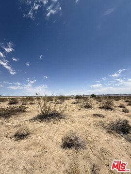 Joshua Tree Commercial Land Available