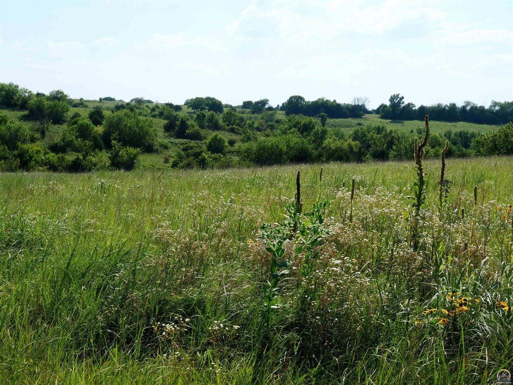 Picture 21