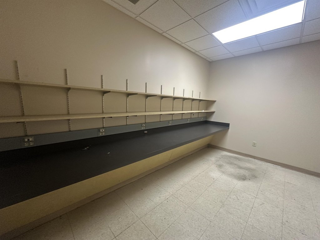 Picture 36