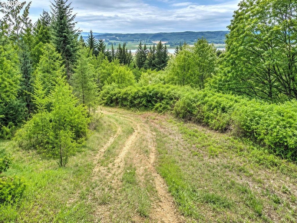 Picture 10