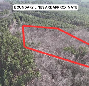 Tippah County Land Opportunity