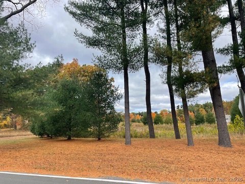 Corner Lot in Somers Neighborhood