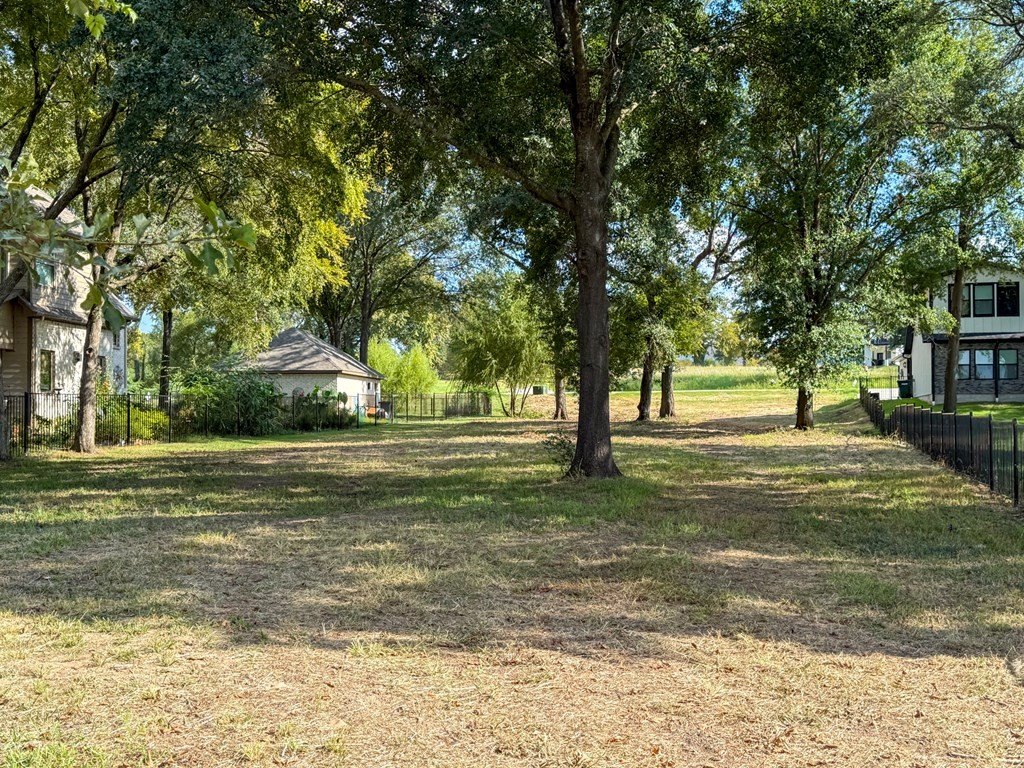 Picture 25