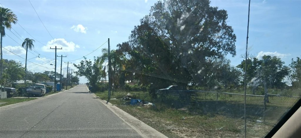 Picture 5