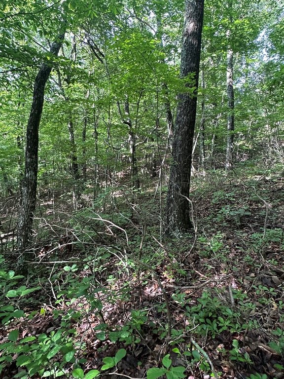 Picture 20