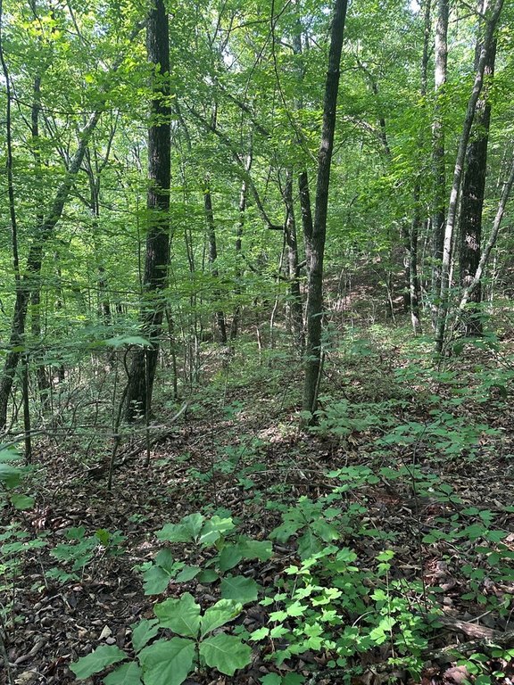 Picture 11