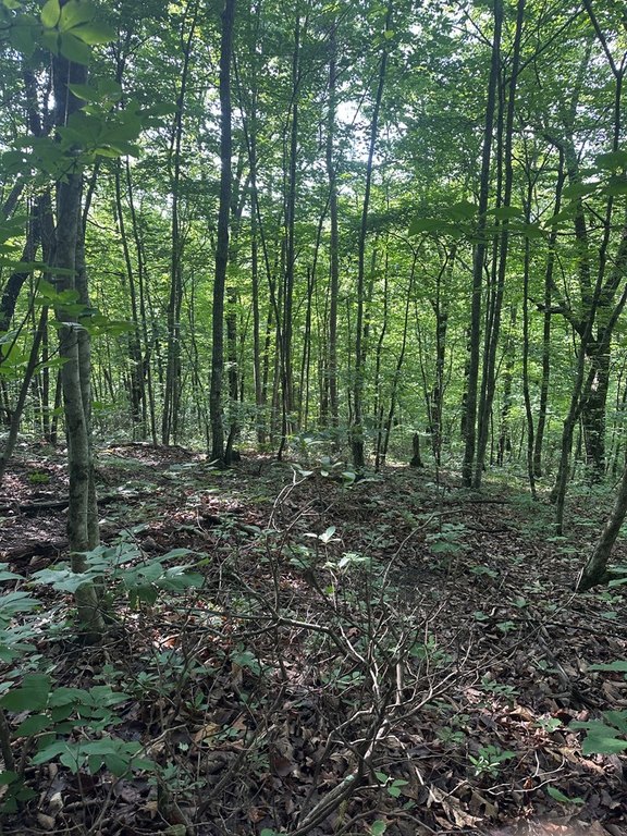 Picture 12