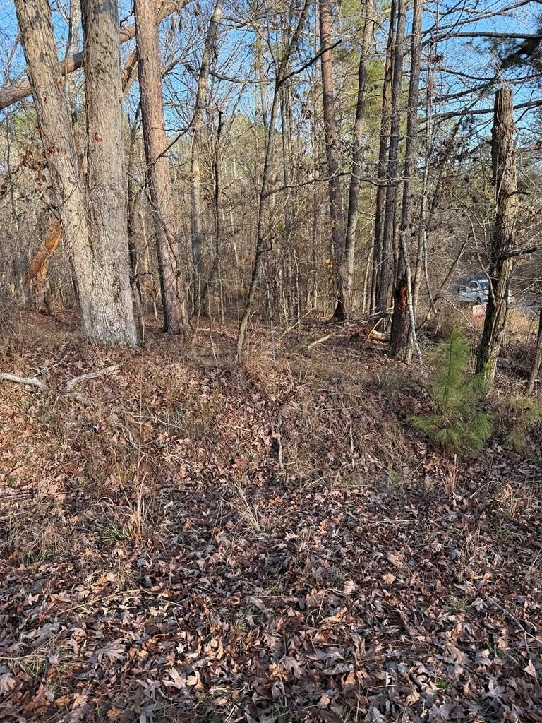 Lake Sinclair Access Lot