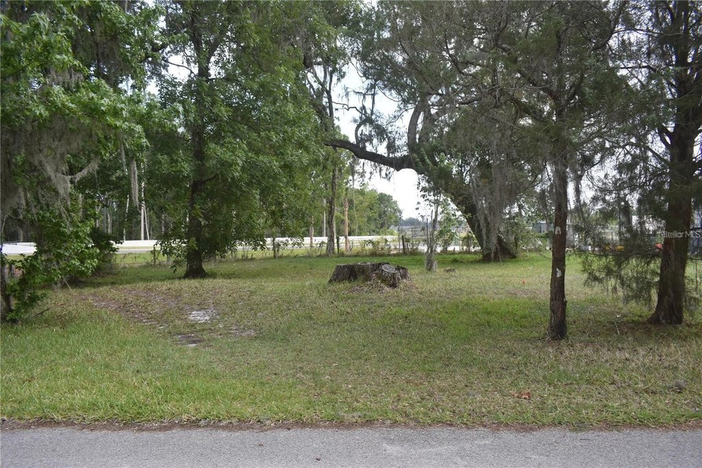 Picture 3