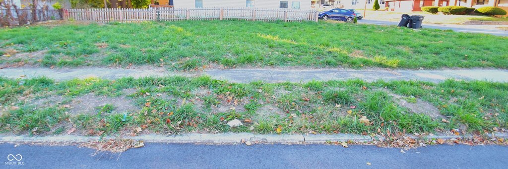 Picture 3