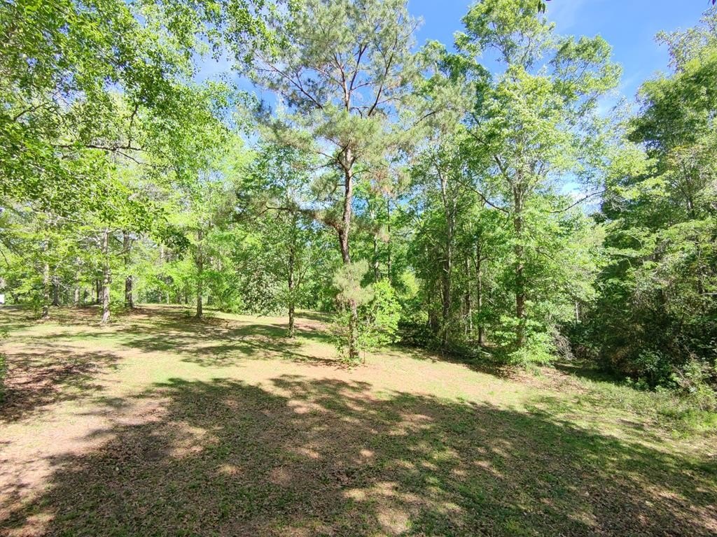Picture 11