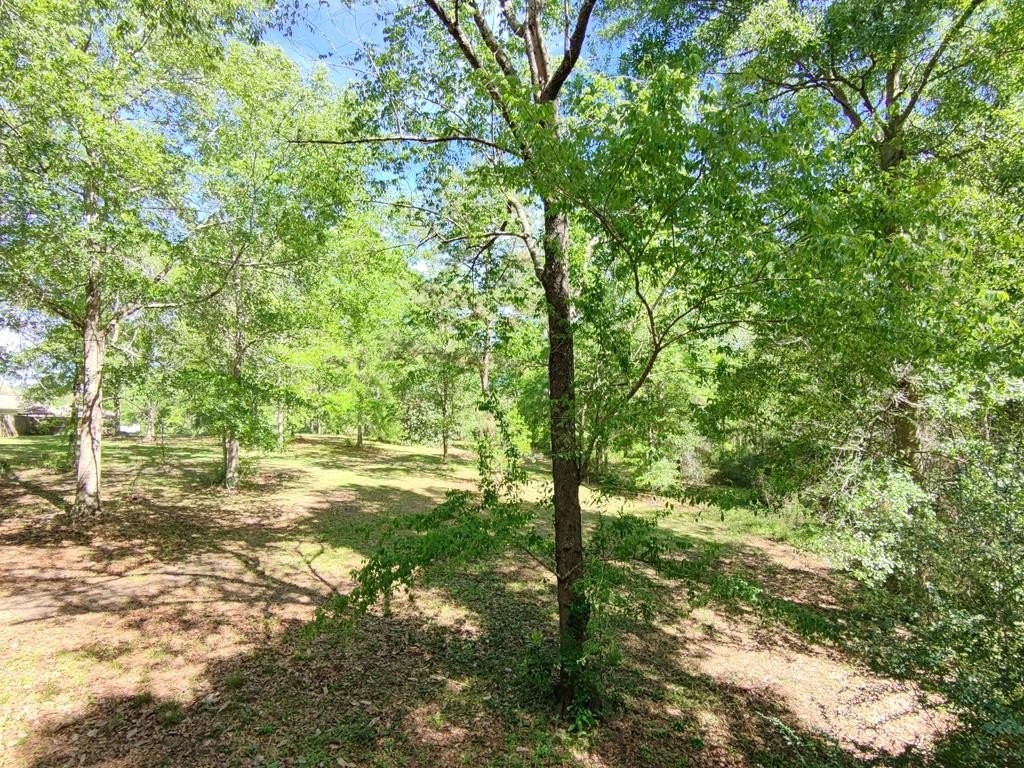 Picture 12