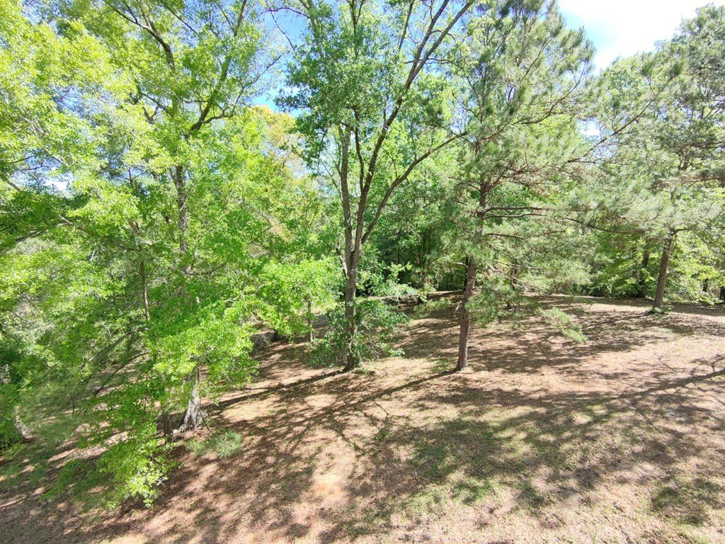 Picture 6